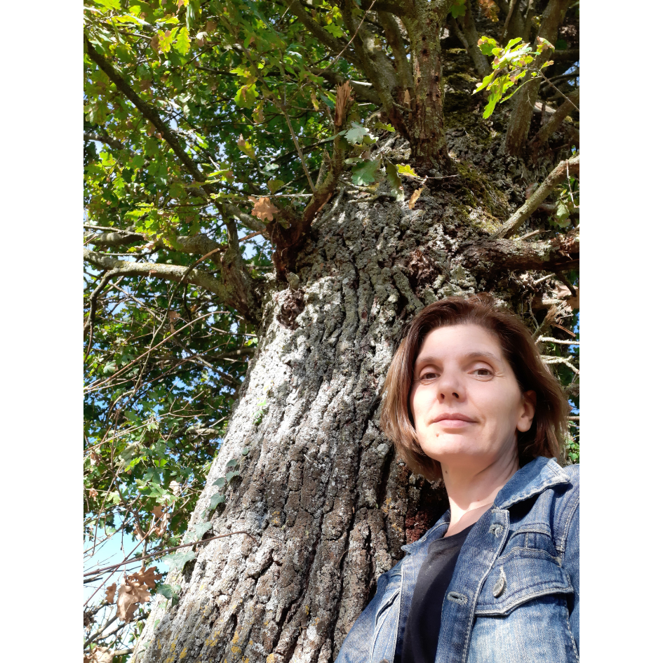 Photo d'une femme au pied d'un arbre
