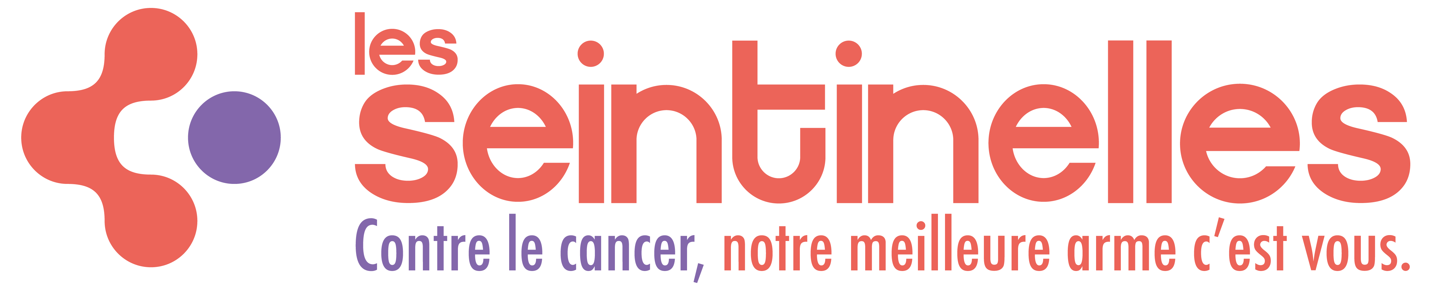 Logo des Seintinelles
